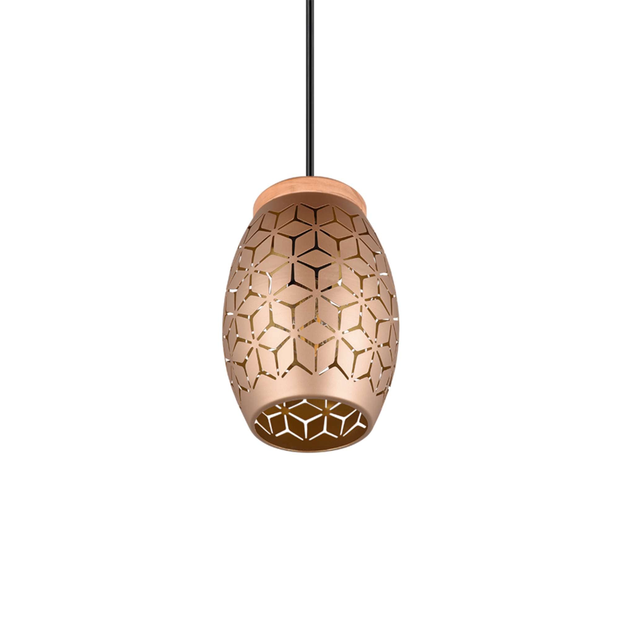 TRIO Bidar riippuvalaisin 1-os E27 - kahvinruskea