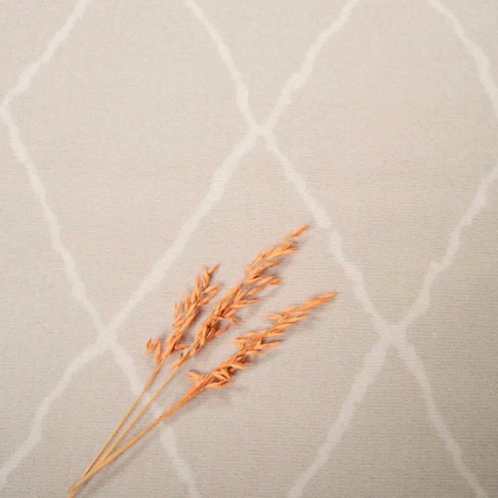 Carlos rubber backed Rug - beige