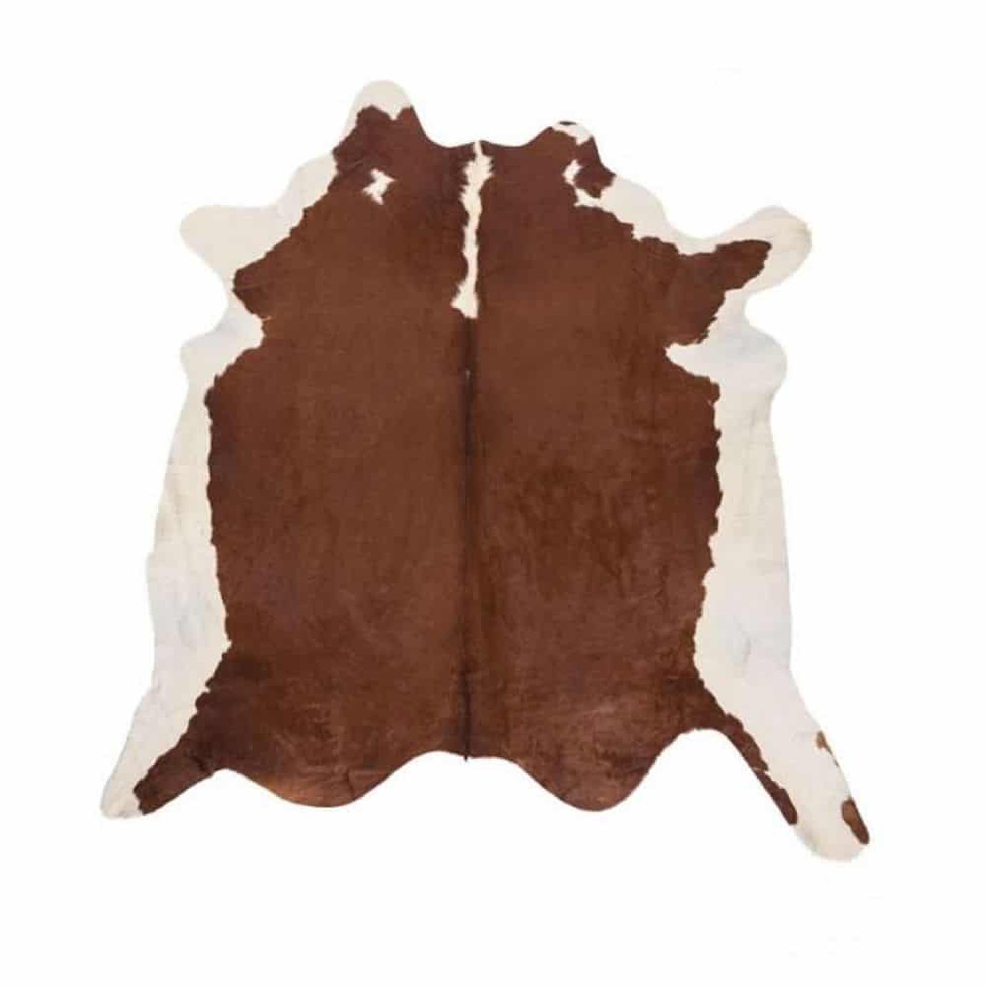 Häräntalja - ruskea (Hereford).