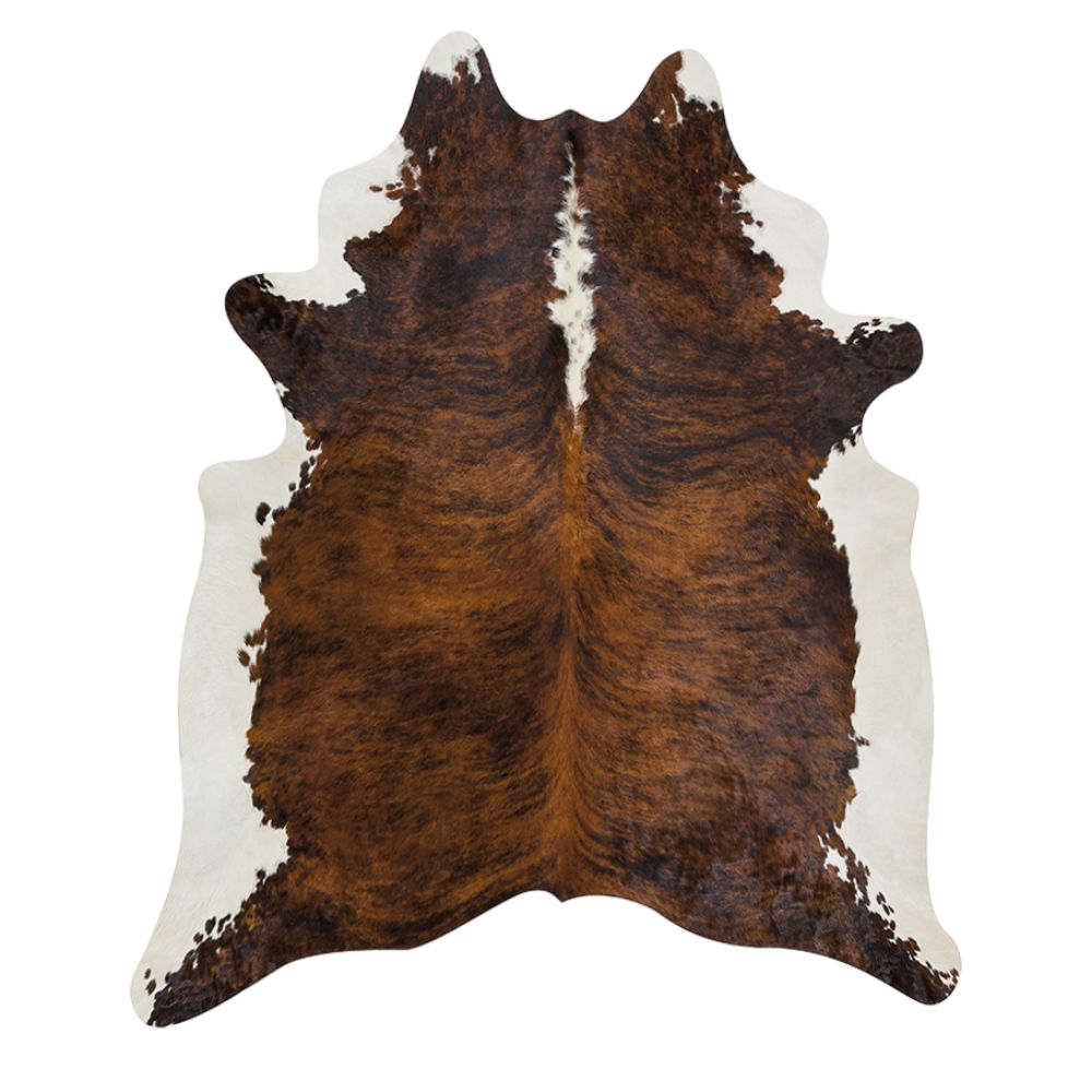 Häräntalja - tricolor.