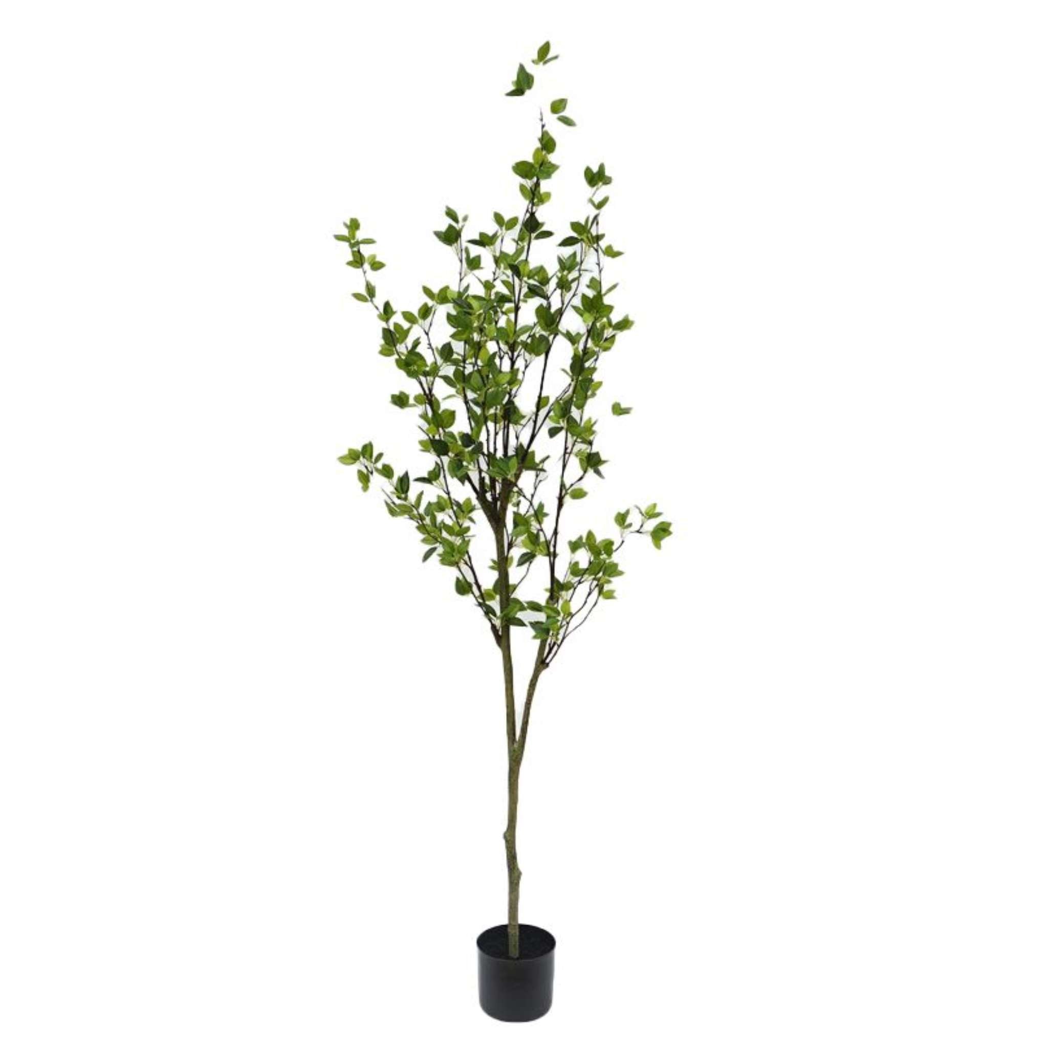 Tekopuu 190cm GARDEN