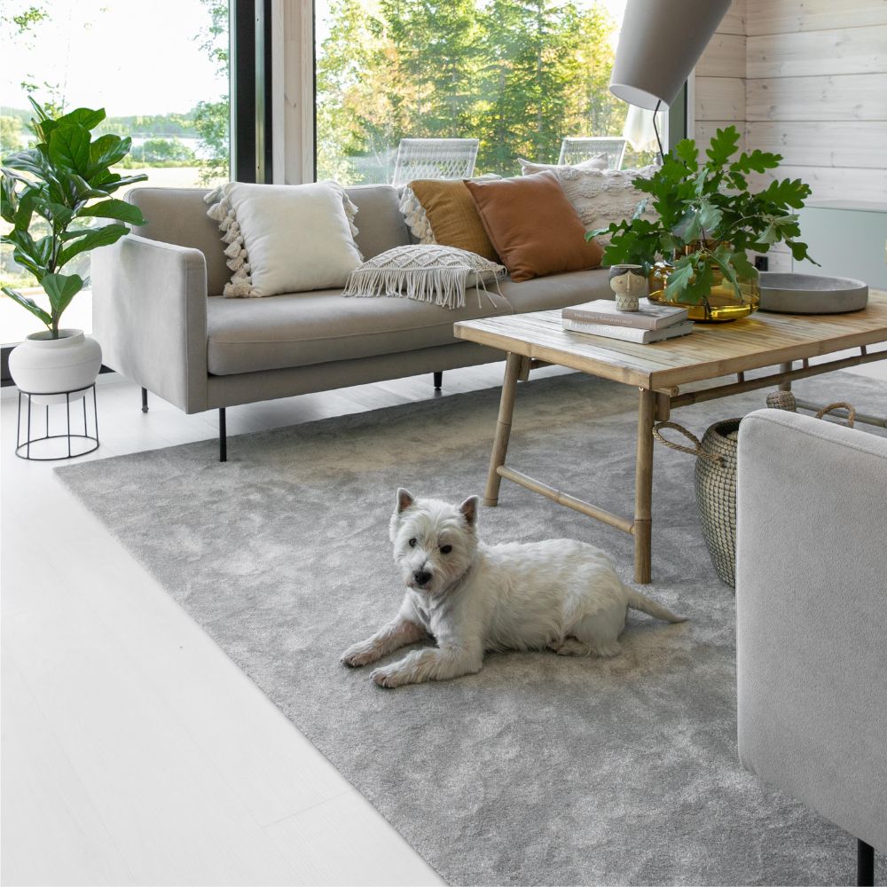 VM Carpet Hattara matto sopii erinomaisesti myös koiratalouteen