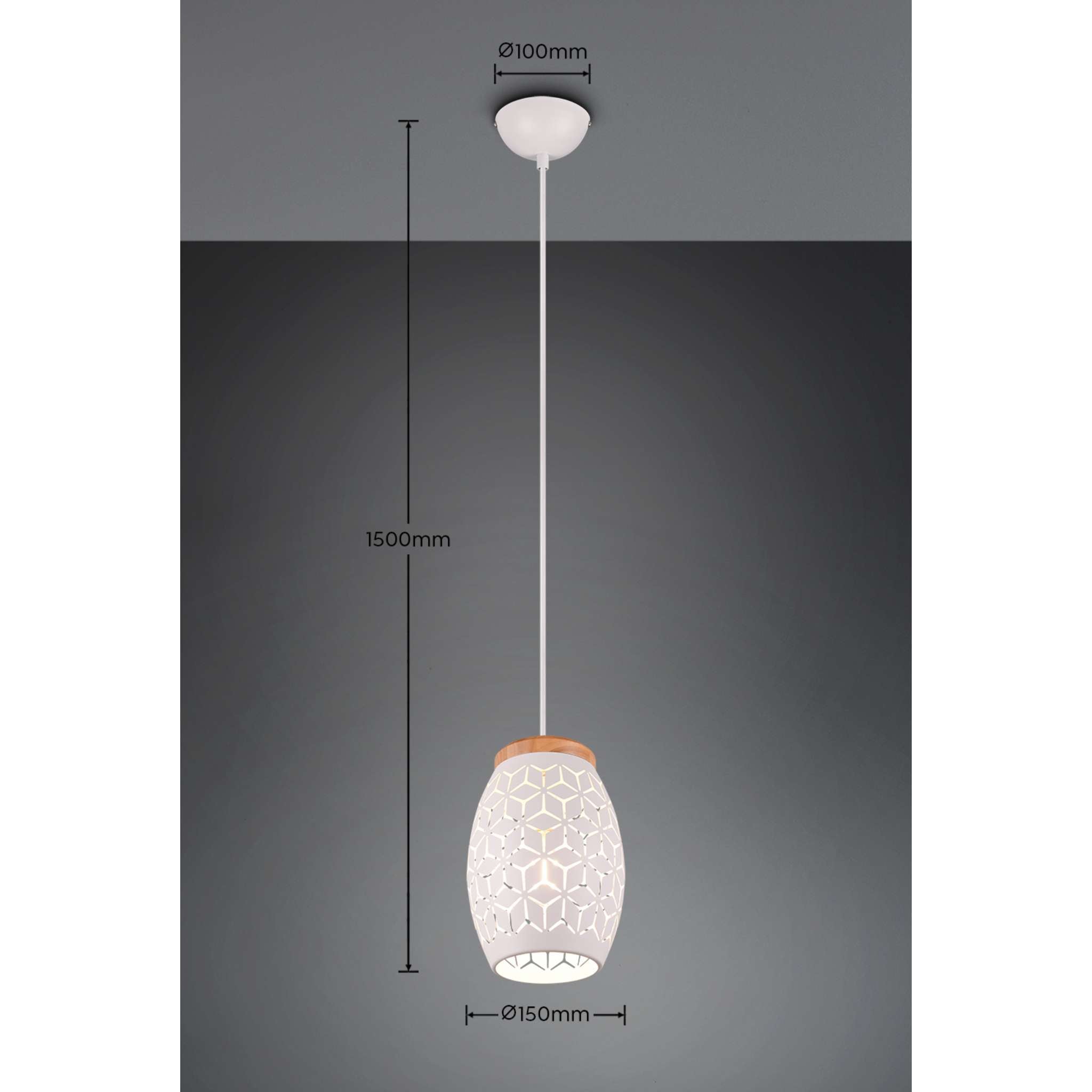 TRIO Bidar riippuvalaisin 1-os E27 - mattavalkoinen