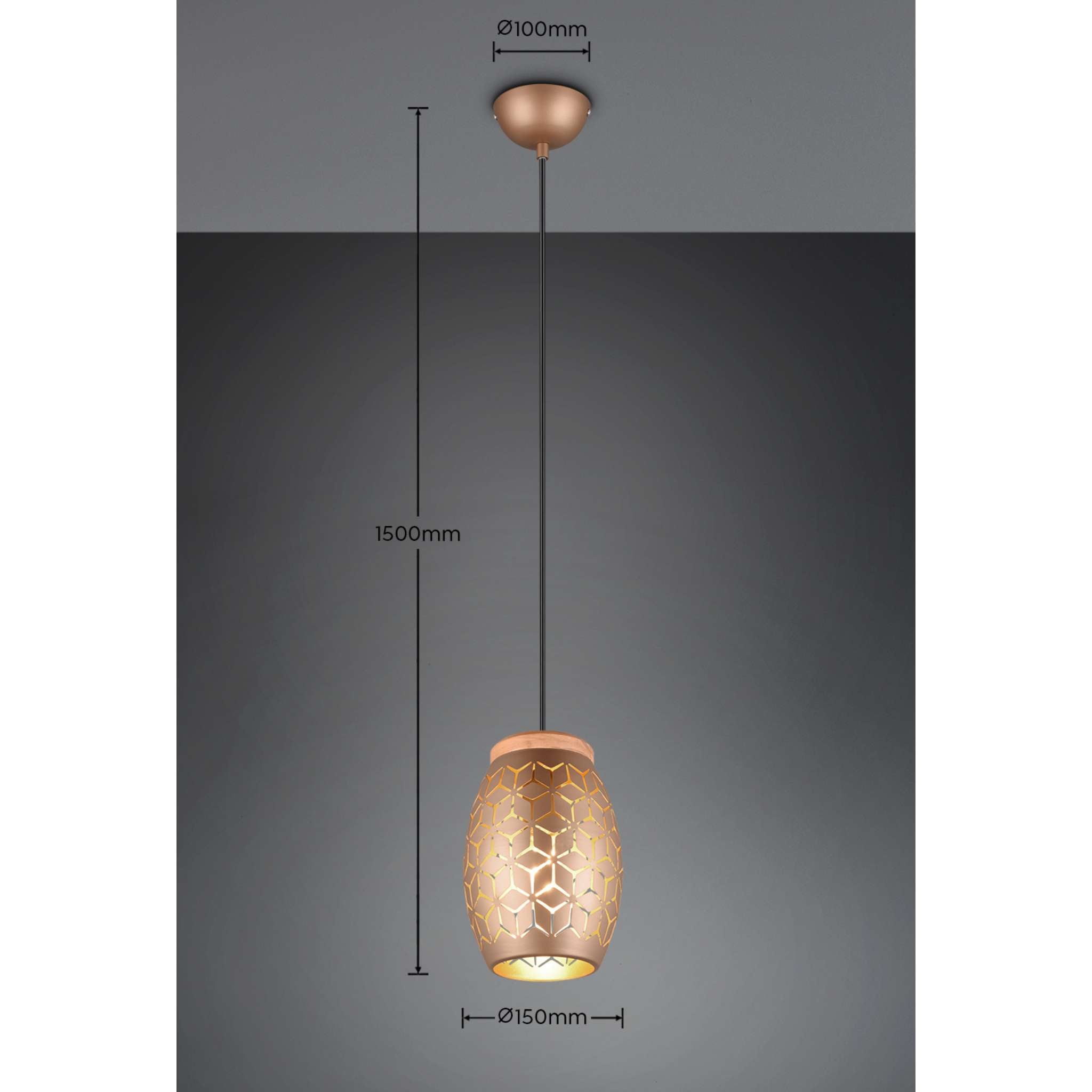 TRIO Bidar riippuvalaisin 1-os E27 - kahvinruskea