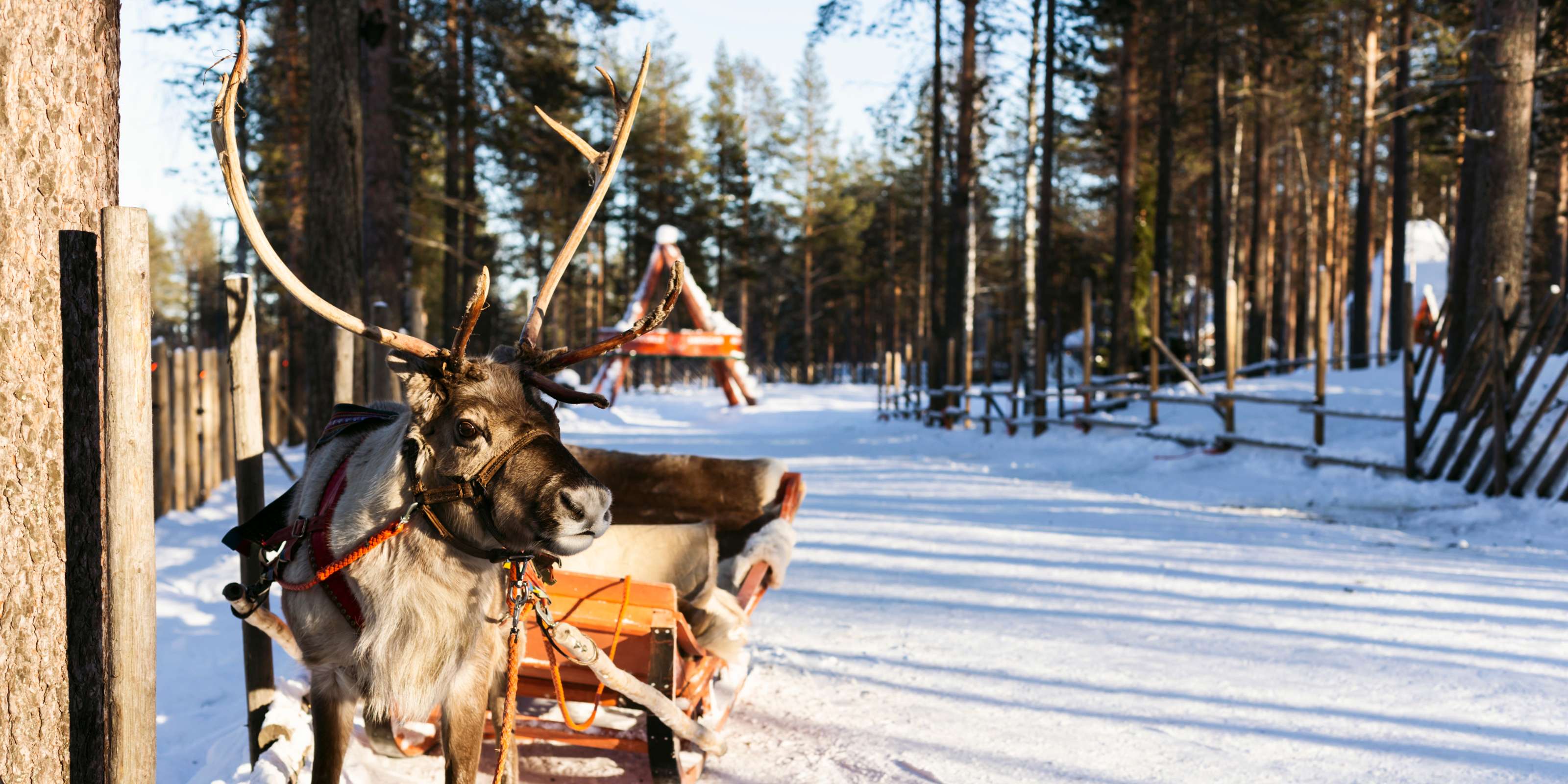 Suomalainen verkkokauppa Mattokeidas.fi